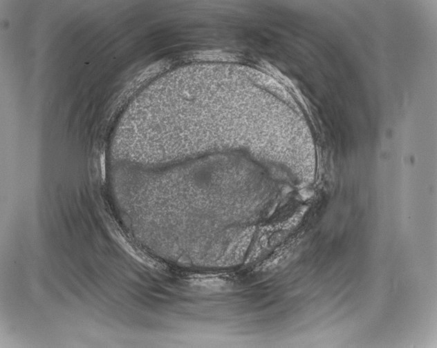 X0000085780061200704131839