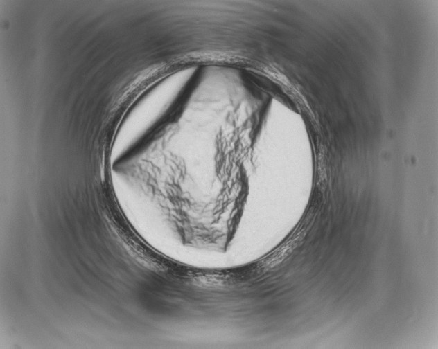 X0000085780062200704131839