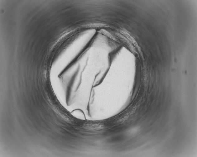 X0000085780063200704131839