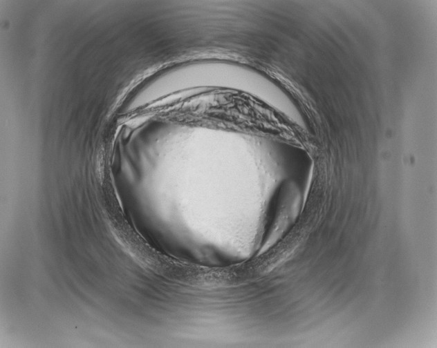 X0000085780064200704131839