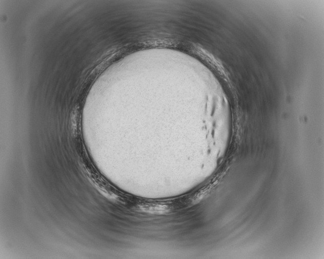 X0000085780065200704131839