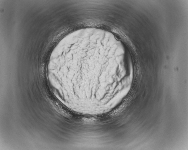 X0000085780066200704131839