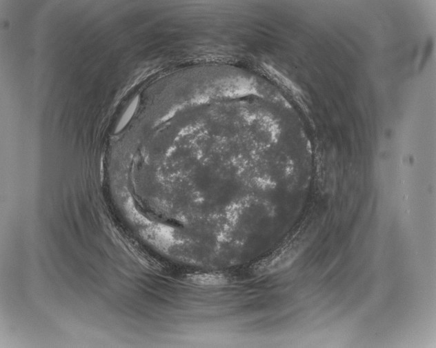 X0000085780067200704131839