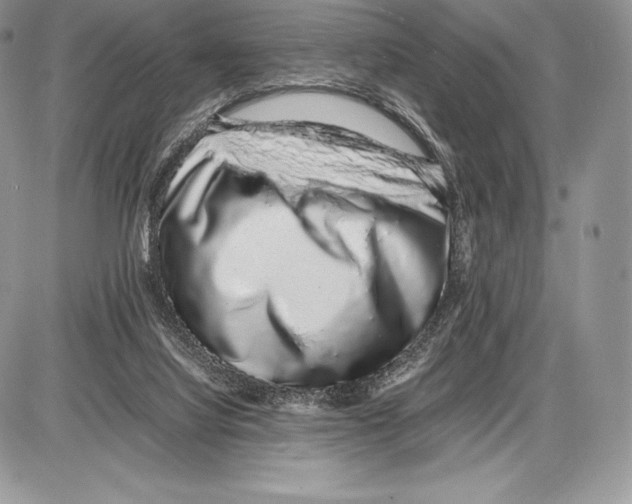 X0000085780068200704131840