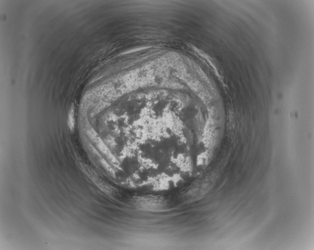 X0000085780069200704131840