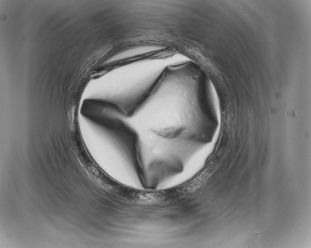 X0000085780070200704131840