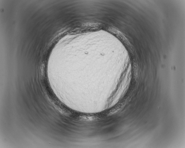 X0000085780071200704131840