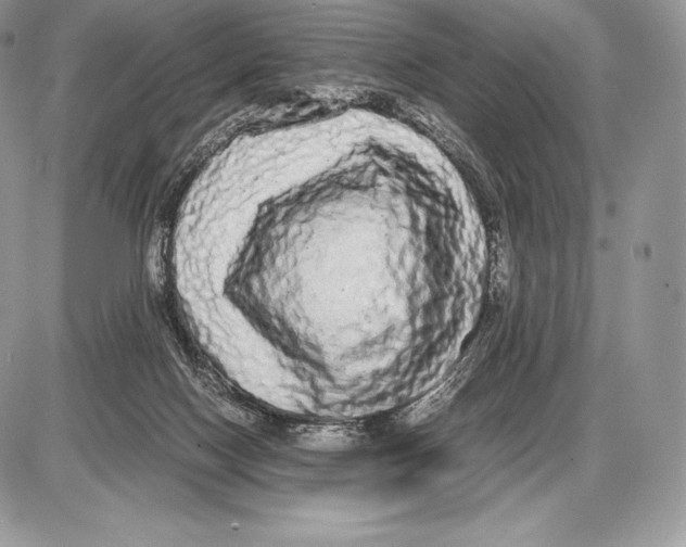 X0000085780074200704131840