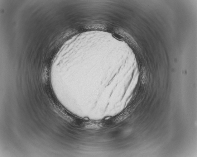 X0000085780077200704131840