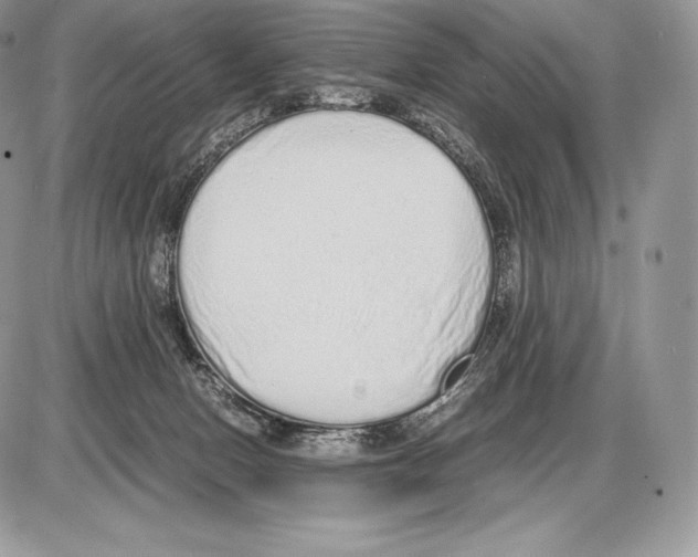 X0000085780078200704131840