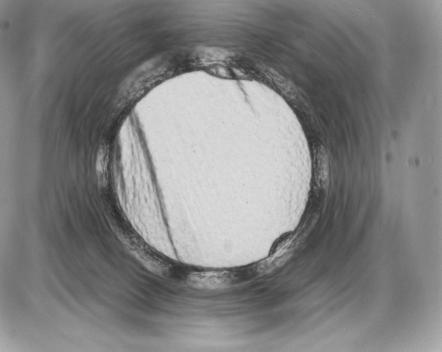 X0000085780082200704131840