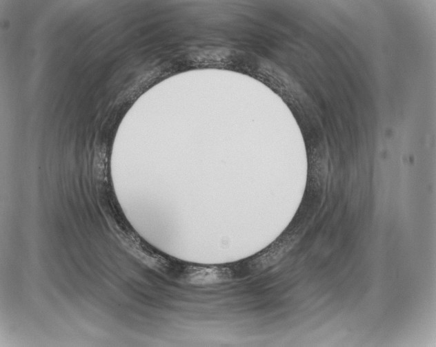 X0000085780083200704131840