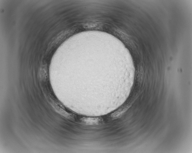 X0000085780085200704131840