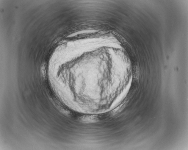 X0000085780086200704131840