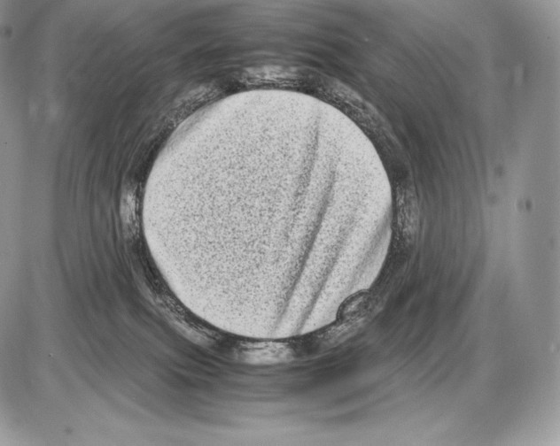 X0000085780087200704131840