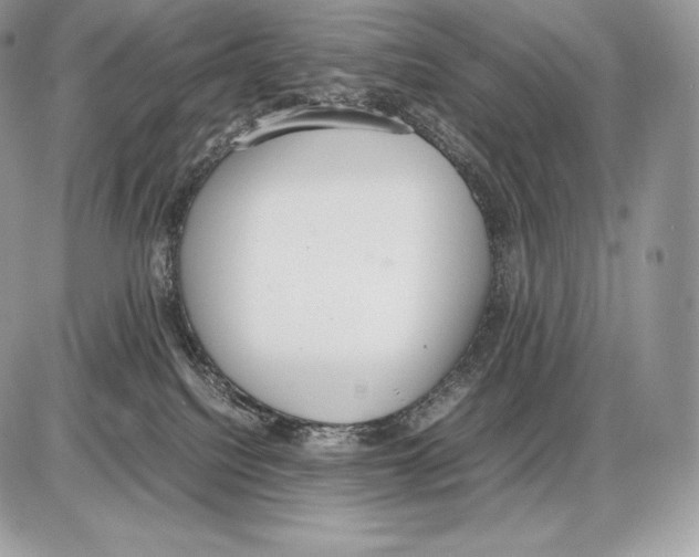 X0000085780088200704131840