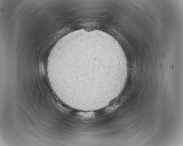 X0000085780089200704131840