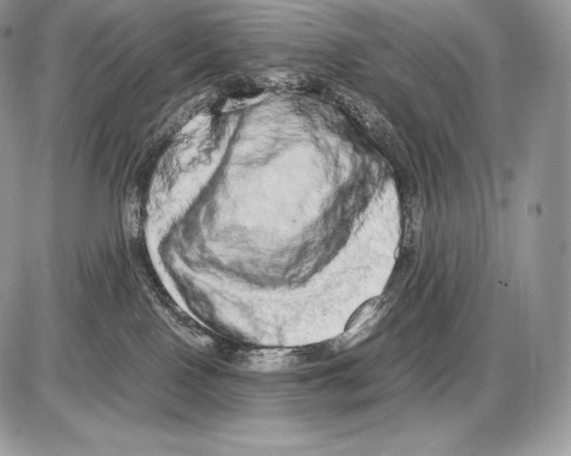 X0000085780090200704131840