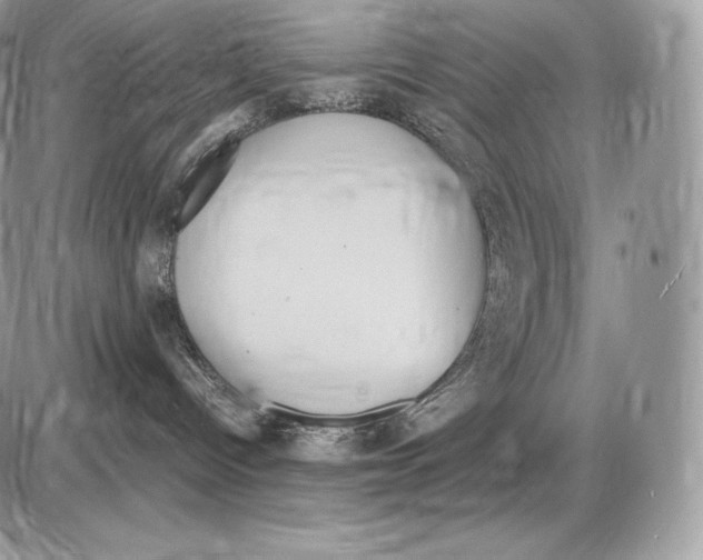 X0000085780096200704131840