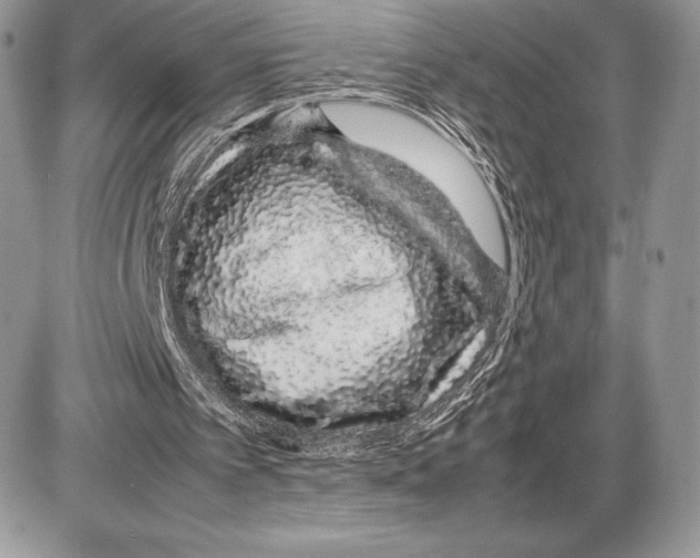 X0000085780097200704131839