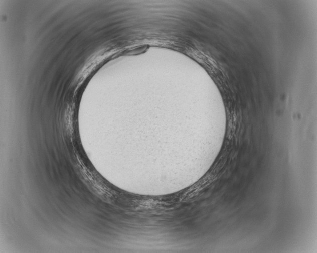 X0000085780098200704131839