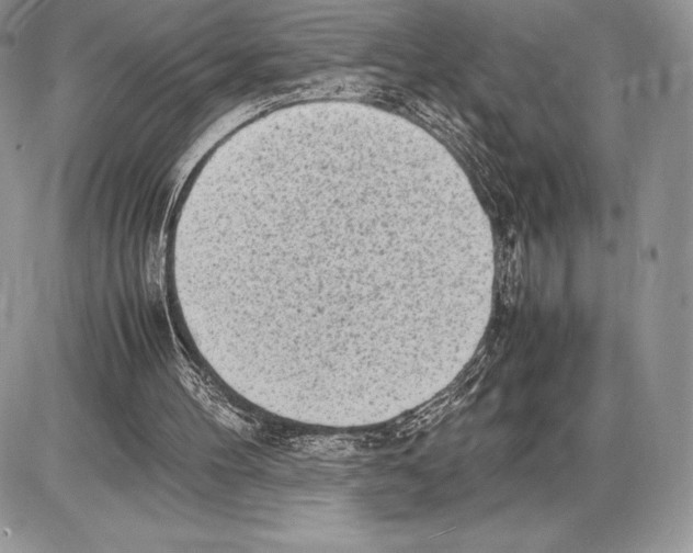 X0000085780100200704131839