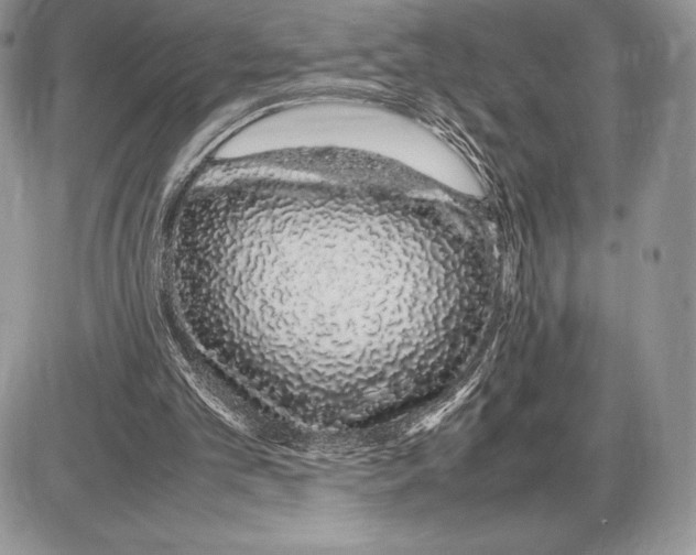 X0000085780101200704131839