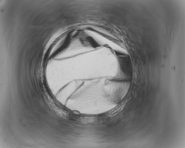 X0000085780102200704131839