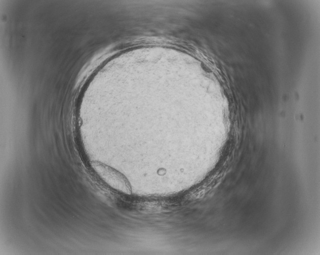 X0000085780103200704131839