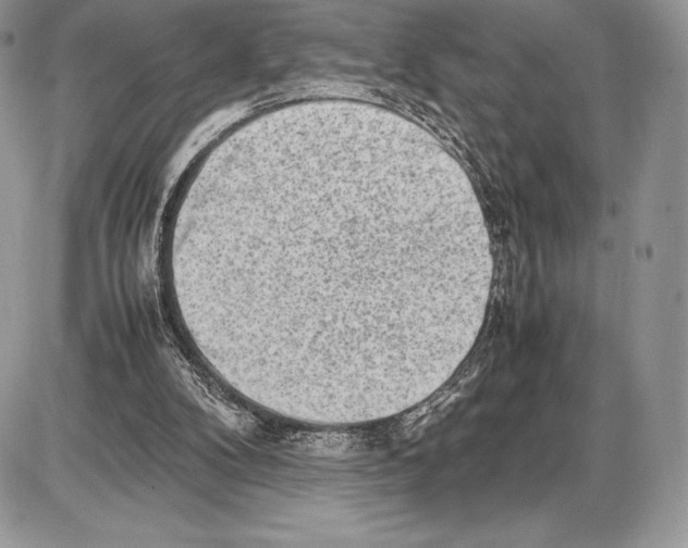 X0000085780104200704131839