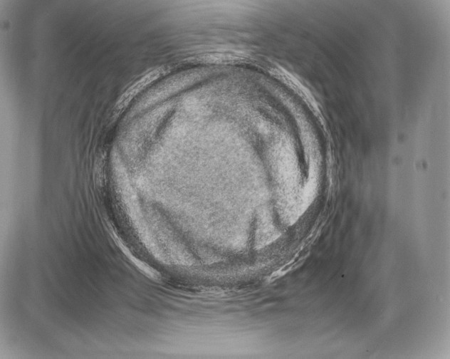 X0000085780105200704131839