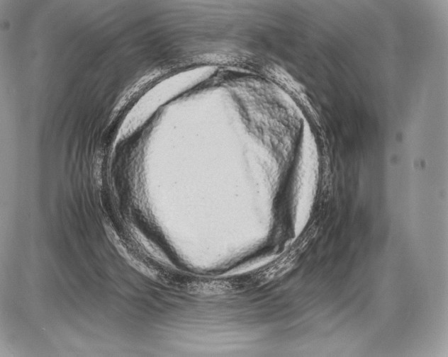 X0000085780106200704131839