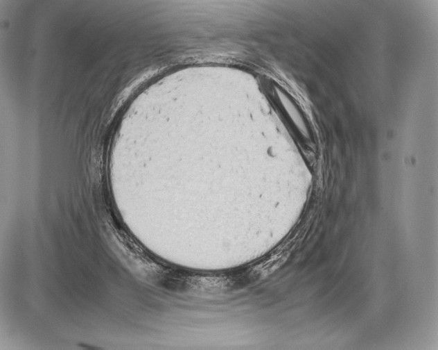 X0000085780107200704131839