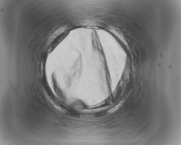 X0000085780109200704131839