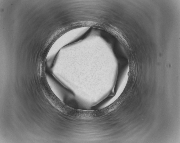 X0000085780110200704131839