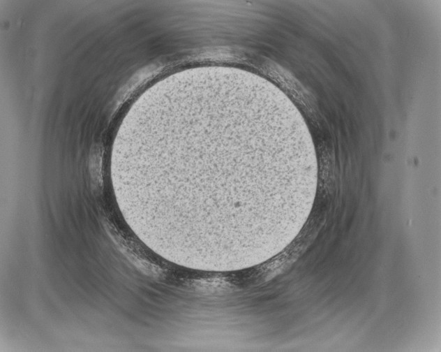 X0000085780112200704131839