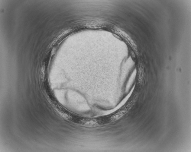 X0000085780113200704131839