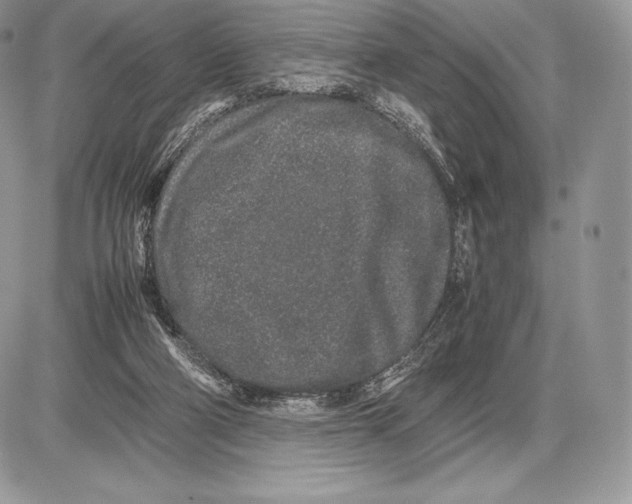 X0000085780114200704131839