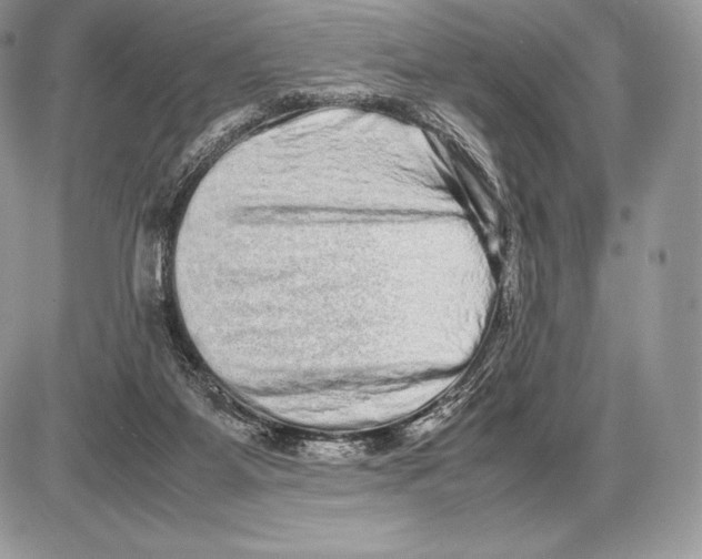 X0000085780115200704131839