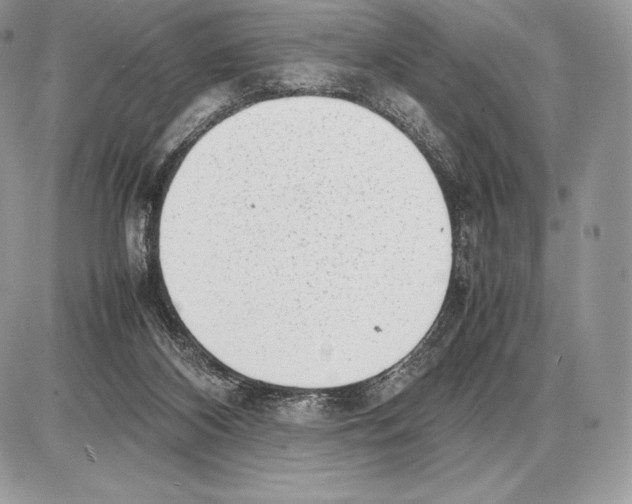 X0000085780116200704131839