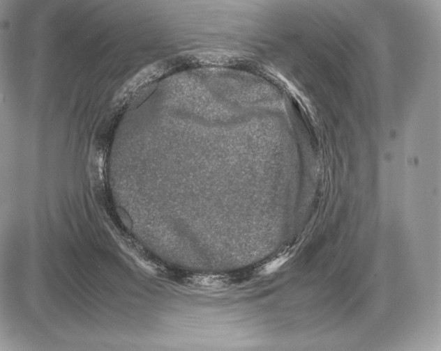 X0000085780117200704131839