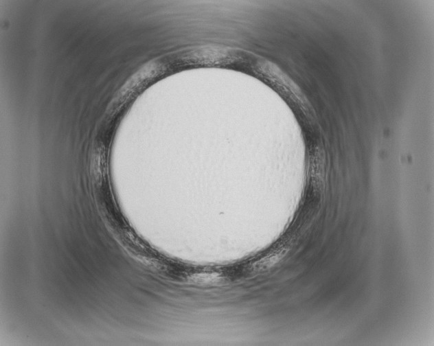 X0000085780119200704131839