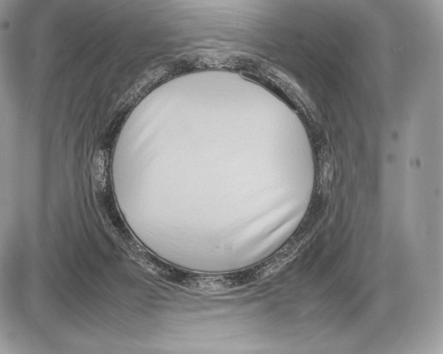 X0000085780121200704131839