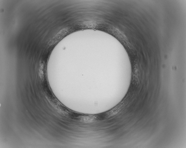 X0000085780122200704131839