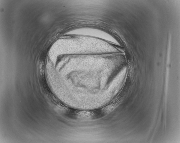 X0000085780123200704131839