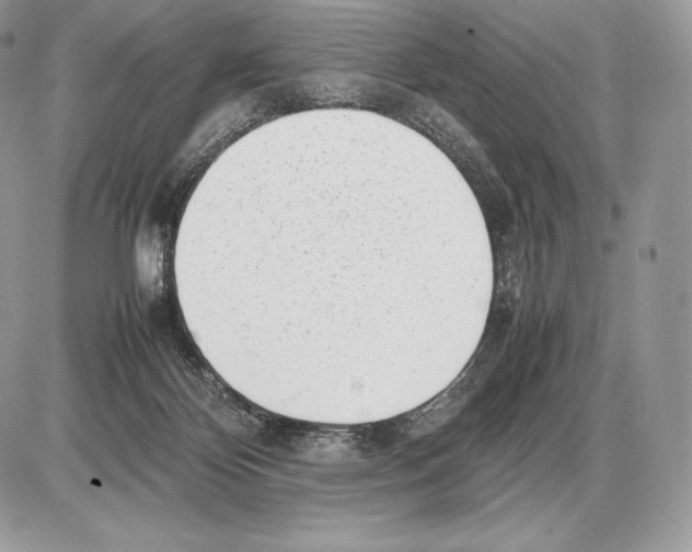 X0000085780124200704131839