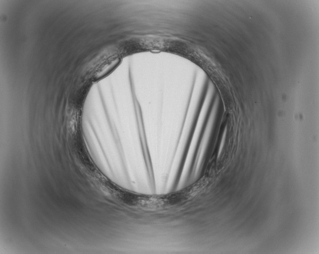 X0000085780125200704131839