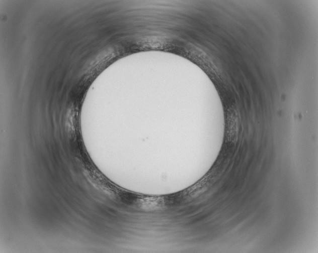 X0000085780126200704131839