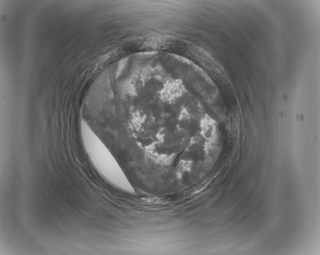 X0000085780127200704131839