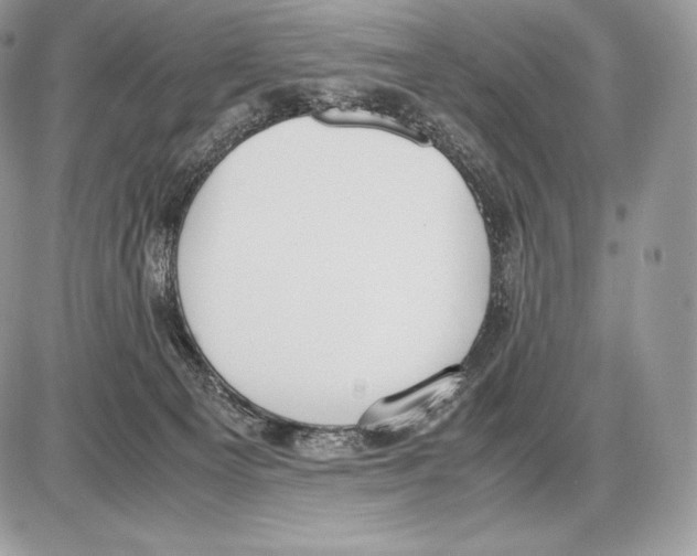 X0000085780129200704131839